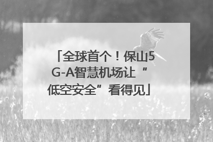 全球首个！保山5G-A智慧机场让“低空安全”看得见