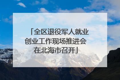 全区退役军人就业创业工作现场推进会在北海市召开