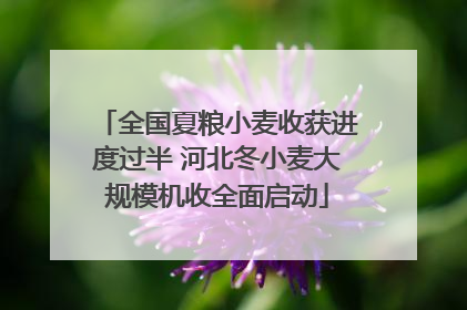 全国夏粮小麦收获进度过半 河北冬小麦大规模机收全面启动