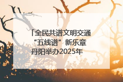 全民共谱文明交通“五线谱”新乐章 丹阳举办2025年“文明交通 同心同行”主题宣传活动