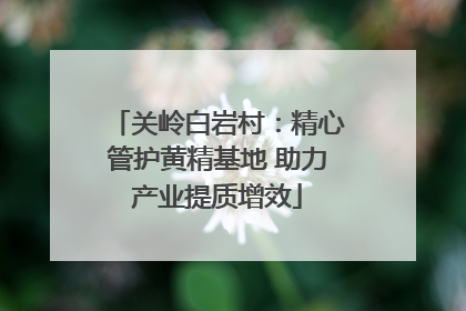 关岭白岩村：精心管护黄精基地 助力产业提质增效