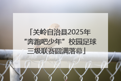 关岭自治县2025年“奔跑吧少年”校园足球三级联赛圆满落幕