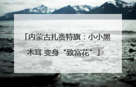 内蒙古扎赉特旗：小小黑木耳 变身“致富花”