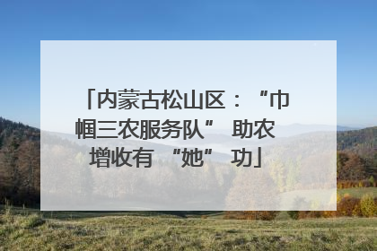 内蒙古松山区：“巾帼三农服务队” 助农增收有 “她” 功
