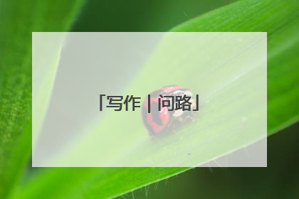 写作｜问路