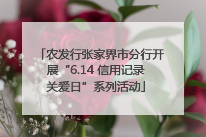 农发行张家界市分行开展“6.14 信用记录关爱日”系列活动