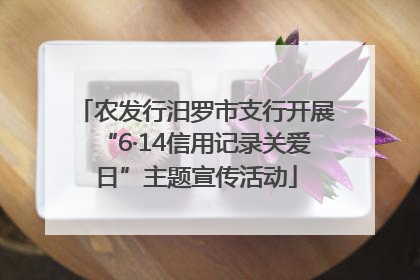 农发行汨罗市支行开展“6·14信用记录关爱日”主题宣传活动
