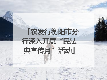 农发行衡阳市分行深入开展“民法典宣传月”活动