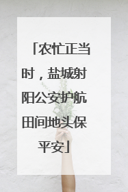 农忙正当时，盐城射阳公安护航田间地头保平安