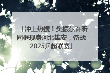 冲上热搜！樊振东许昕同框现身河北雄安，备战2025乒超联赛