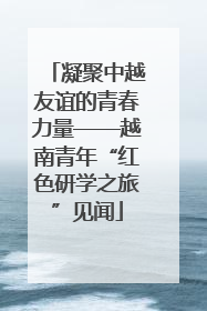 凝聚中越友谊的青春力量——越南青年“红色研学之旅”见闻
