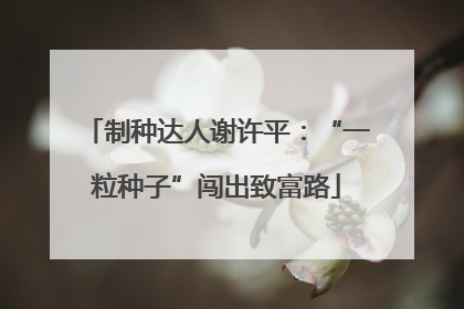 制种达人谢许平：“一粒种子”闯出致富路