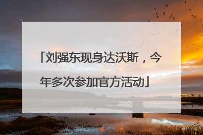 刘强东现身达沃斯，今年多次参加官方活动