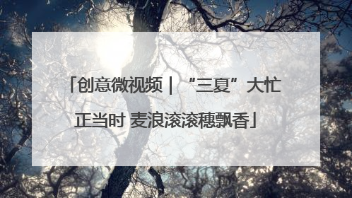 创意微视频｜“三夏”大忙正当时 麦浪滚滚穗飘香