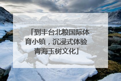到丰台北粮国际体育小镇，沉浸式体验青海玉树文化