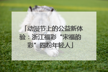 动漫节上的公益新体验：浙江福彩“宋福韵彩”圈粉年轻人