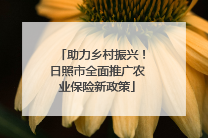助力乡村振兴！日照市全面推广农业保险新政策