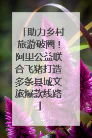助力乡村旅游破圈！阿里公益联合飞猪打造多条县域文旅爆款线路