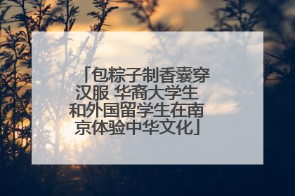 包粽子制香囊穿汉服 华裔大学生和外国留学生在南京体验中华文化