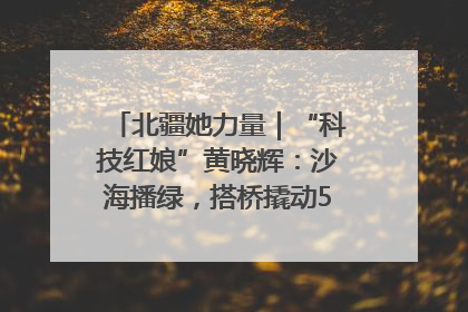 北疆她力量｜“科技红娘”黄晓辉：沙海播绿，搭桥撬动5.3亿研发