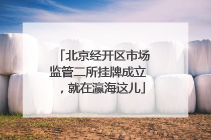 北京经开区市场监管二所挂牌成立，就在瀛海这儿