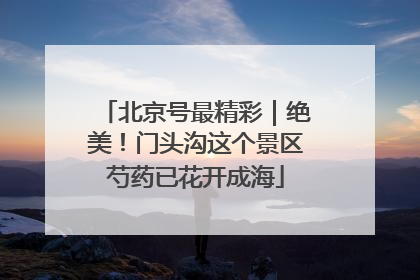 北京号最精彩｜绝美！门头沟这个景区芍药已花开成海