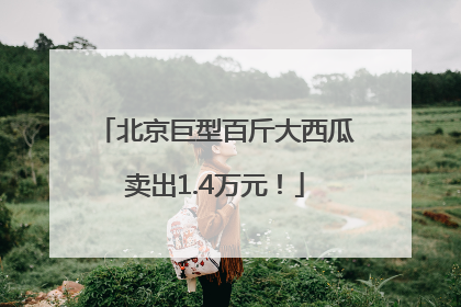 北京巨型百斤大西瓜卖出1.4万元！