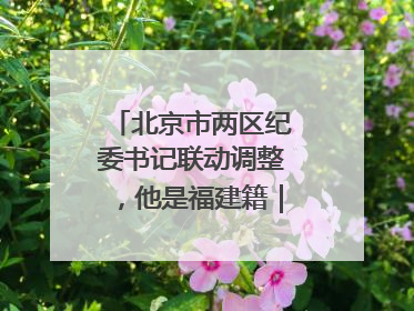 北京市两区纪委书记联动调整，他是福建籍｜福建两地发布一批人事消息