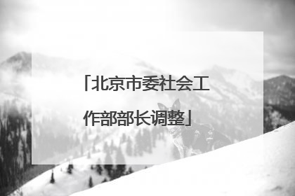 北京市委社会工作部部长调整