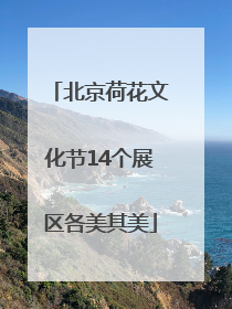 北京荷花文化节14个展区各美其美