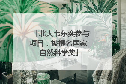 北大韦东奕参与项目，被提名国家自然科学奖