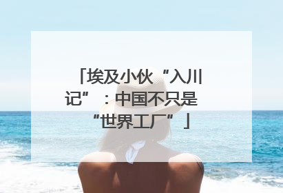 埃及小伙“入川记”：中国不只是“世界工厂”