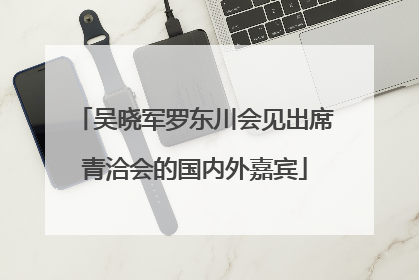 吴晓军罗东川会见出席青洽会的国内外嘉宾