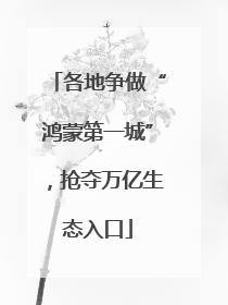 各地争做“鸿蒙第一城”，抢夺万亿生态入口
