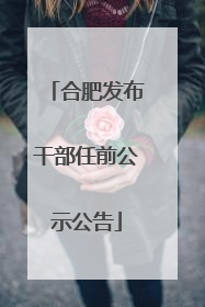 合肥发布干部任前公示公告