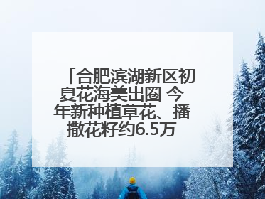 合肥滨湖新区初夏花海美出圈 今年新种植草花、播撒花籽约6.5万平方米