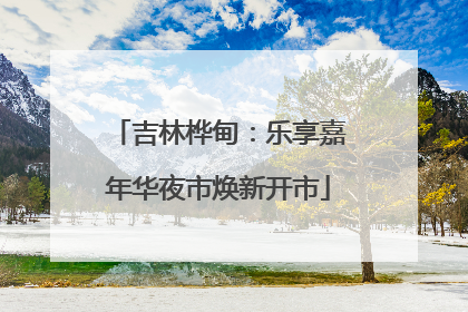 吉林桦甸：乐享嘉年华夜市焕新开市