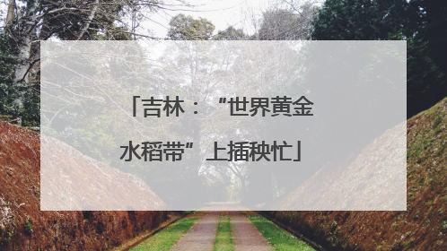 吉林：“世界黄金水稻带”上插秧忙