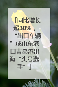 同比增长超30%，“出口车辆”成山东港口青岛港出海“头号选手”