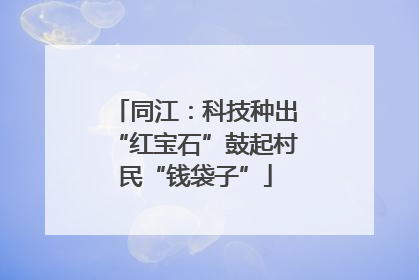 同江：科技种出“红宝石”鼓起村民“钱袋子”