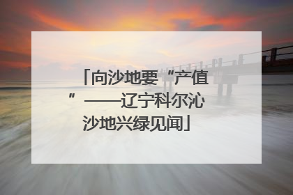 向沙地要“产值”——辽宁科尔沁沙地兴绿见闻