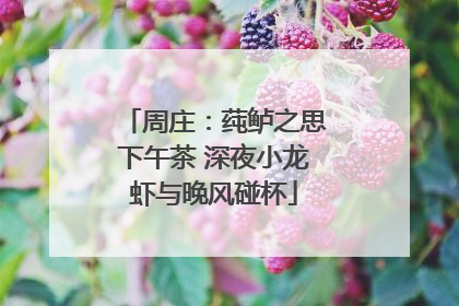 周庄：莼鲈之思下午茶 深夜小龙虾与晚风碰杯