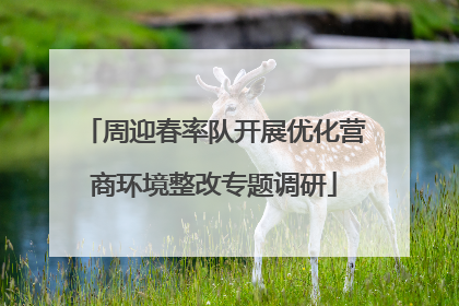 周迎春率队开展优化营商环境整改专题调研