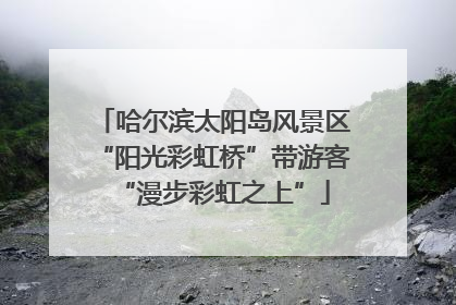 哈尔滨太阳岛风景区“阳光彩虹桥”带游客“漫步彩虹之上”