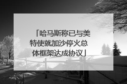 哈马斯称已与美特使就加沙停火总体框架达成协议