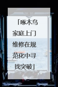 啄木鸟家庭上门维修在规范化中寻找突破
