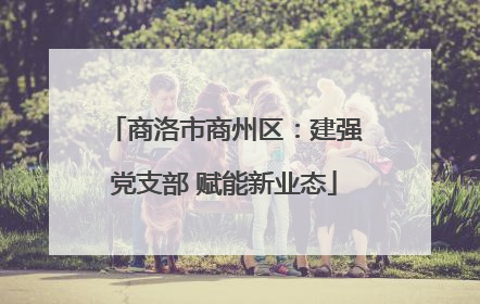 商洛市商州区：建强党支部 赋能新业态