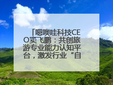 嗯噢哇科技CEO窦飞鹏：共创旅游专业能力认知平台，激发行业“自生长”力量