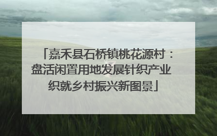 嘉禾县石桥镇桃花源村：盘活闲置用地发展针织产业 织就乡村振兴新图景