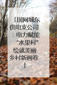 国网城东供电支公司：电力赋能“水果村” 绘就美丽乡村新画卷